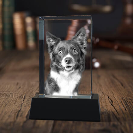 3D-Fotokristall-Rechteck mit Hundegesicht